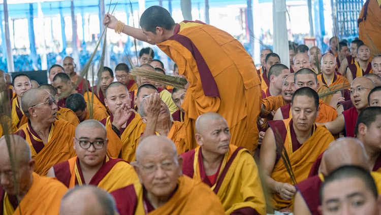 Kusha grass being distributed to the crowd during the preparation of students for the Kalachakra Empowerment in Bodhgaya, Bihar, India on January 11, 2017. Photo/Tenzin Choejor/OHHDL