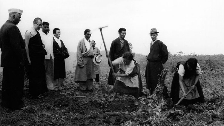 His Holiness the Dalai Lama watches women clearing-up tree roots for agricultural purposes in one of the Tibetan settlements in Soutn India in the 1960s.